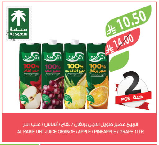 Orange Apple Pineapple available at Farm  in KSA, Saudi Arabia, Saudi - Khafji