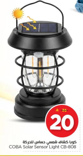 available at نستو in مملكة العربية السعودية, السعودية, سعودية - الجبيل‎