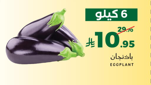 Eggplant available at ميرا مارت مول in مملكة العربية السعودية, السعودية, سعودية - جدة
