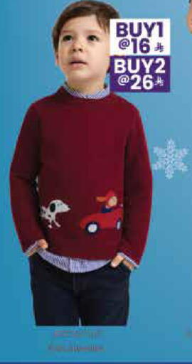 available at City Flower in KSA, Saudi Arabia, Saudi - Jubail