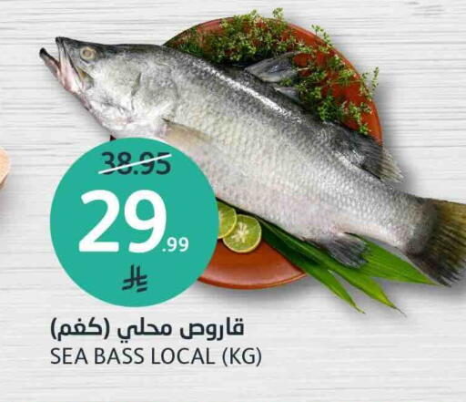 available at مركز الجزيرة للتسوق in مملكة العربية السعودية, السعودية, سعودية - الرياض