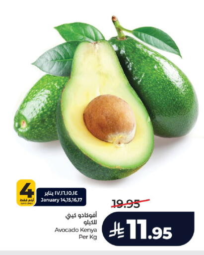 Avocado from Kenya available at لولو هايبرماركت in مملكة العربية السعودية, السعودية, سعودية - الرياض