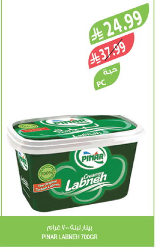 available at المزرعة in مملكة العربية السعودية, السعودية, سعودية - الخبر‎