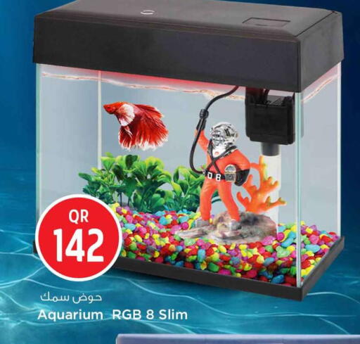 available at Safari Hypermarket in Qatar - Al Daayen