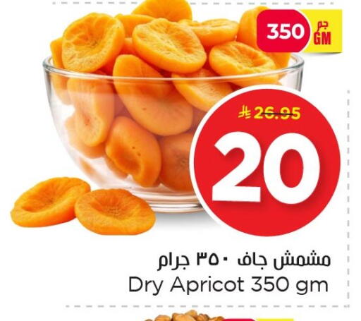 Apricot available at Nesto in KSA, Saudi Arabia, Saudi - Dammam
