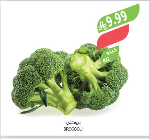 Broccoli available at Farm  in KSA, Saudi Arabia, Saudi - Tabuk