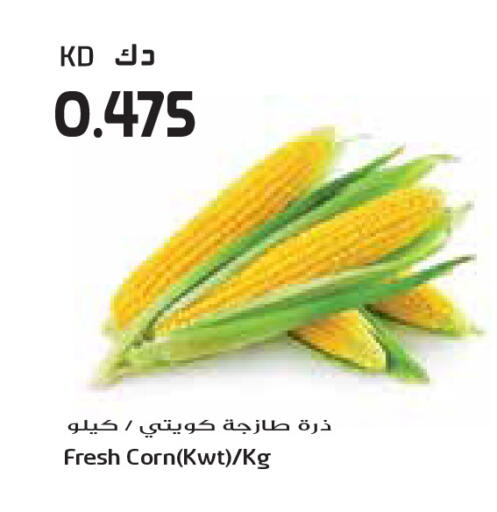 available at Grand Costo in Kuwait - Ahmadi Governorate