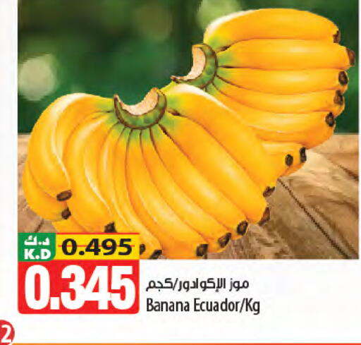Banana Mango from Ecuador available at مانجو هايبرماركت in الكويت - مدينة الكويت