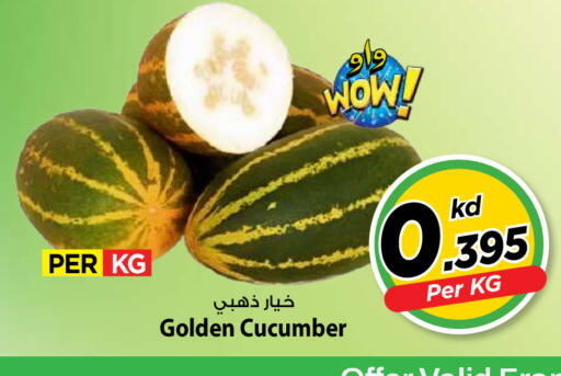 Cucumber available at Mark & Save in Kuwait - Kuwait City