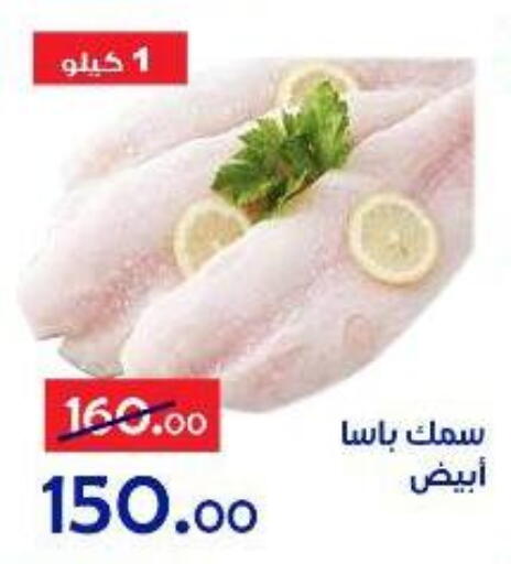 available at الدنيا بخير in Egypt - القاهرة