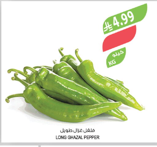 Pepper available at Farm  in KSA, Saudi Arabia, Saudi - Tabuk
