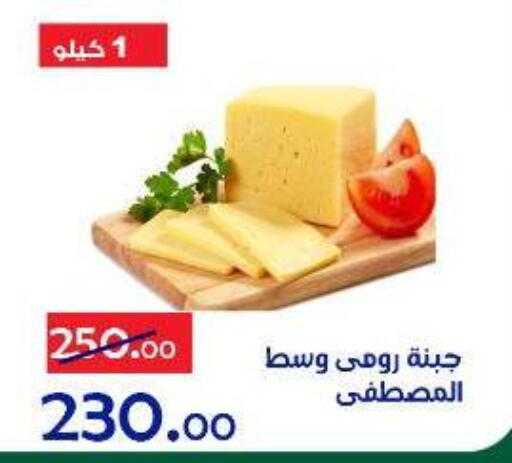 available at الدنيا بخير in Egypt - القاهرة