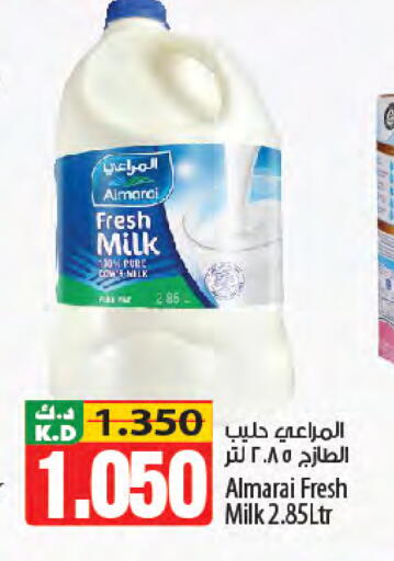 Mango available at Mango Hypermarket  in Kuwait - Kuwait City