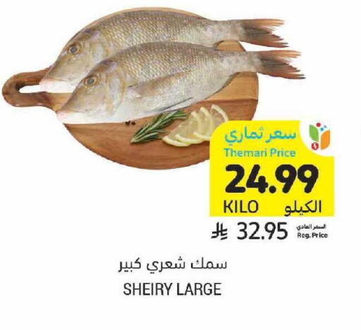 available at Tamimi Market in KSA, Saudi Arabia, Saudi - Tabuk