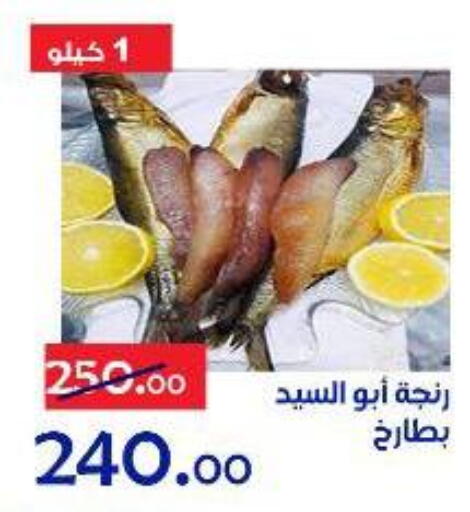 available at الدنيا بخير in Egypt - القاهرة