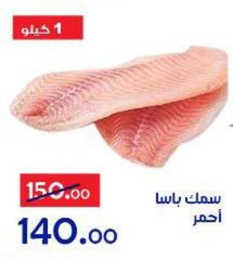 available at الدنيا بخير in Egypt - القاهرة