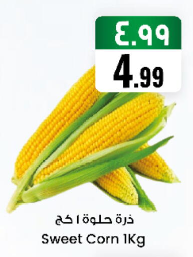 available at City Flower in KSA, Saudi Arabia, Saudi - Sakaka