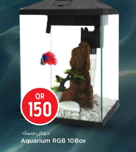 available at Safari Hypermarket in Qatar - Al Daayen