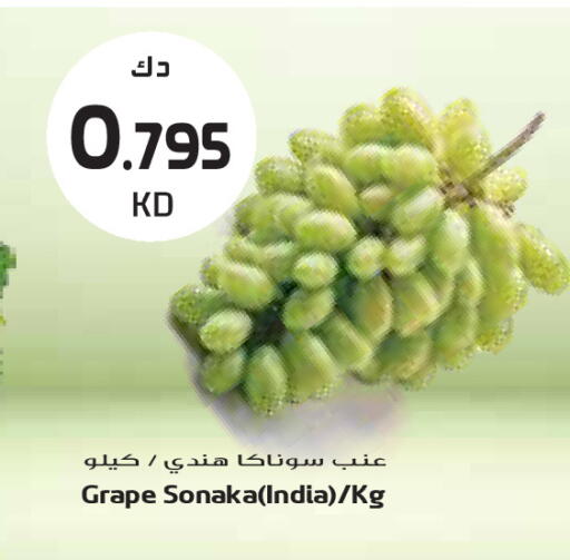 from India available at جراند كوستو in الكويت - محافظة الأحمدي