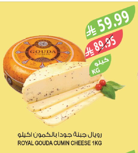 Cumin available at Farm  in KSA, Saudi Arabia, Saudi - Jeddah