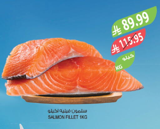 available at المزرعة in مملكة العربية السعودية, السعودية, سعودية - تبوك