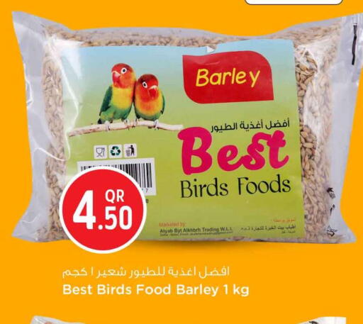 available at سفاري هايبر ماركت in قطر - الشمال