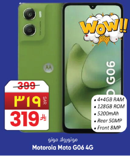 available at City Flower in KSA, Saudi Arabia, Saudi - Hail