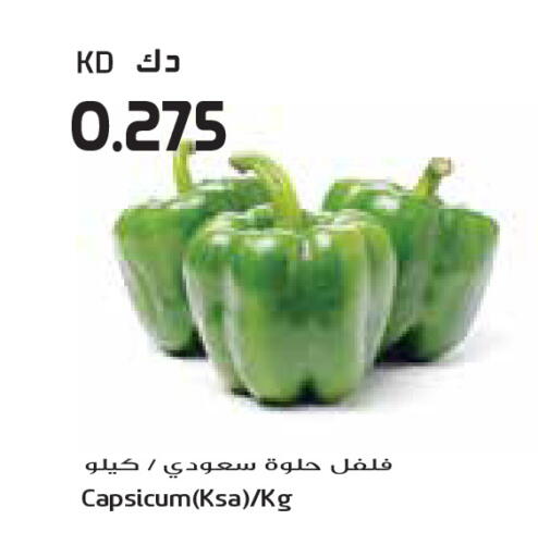 Capsicum available at Grand Costo in Kuwait - Ahmadi Governorate