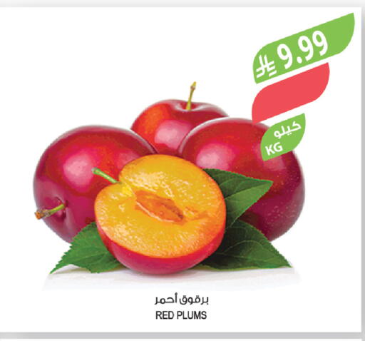 Plums available at Farm  in KSA, Saudi Arabia, Saudi - Sakaka