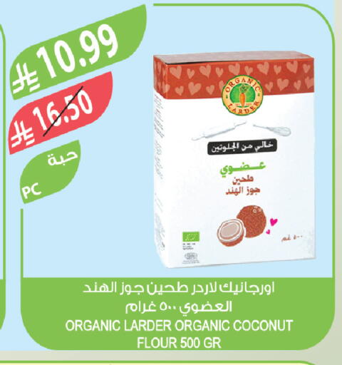 Coconut available at Farm  in KSA, Saudi Arabia, Saudi - Sakaka