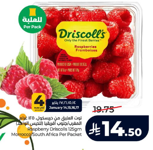 Raspberry from South Africa available at لولو هايبرماركت in مملكة العربية السعودية, السعودية, سعودية - الرياض