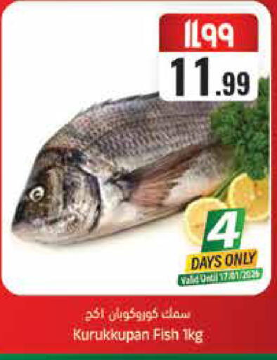 available at ستي فلاور in مملكة العربية السعودية, السعودية, سعودية - الرياض