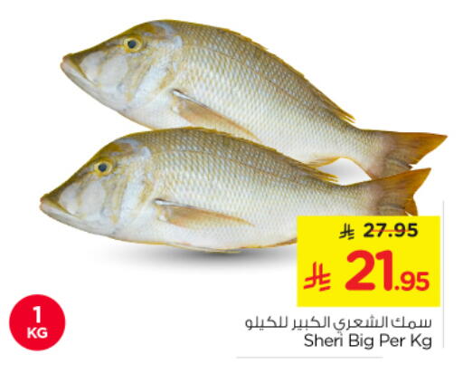 available at Nesto in KSA, Saudi Arabia, Saudi - Al-Kharj