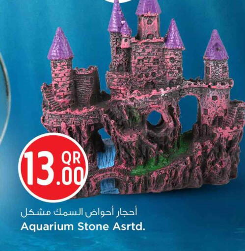 available at Safari Hypermarket in Qatar - Al Daayen