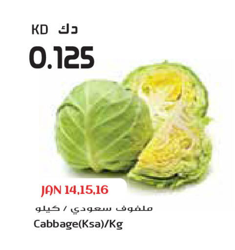 Cabbage available at Grand Costo in Kuwait - Ahmadi Governorate