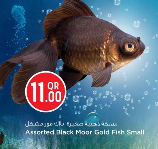 available at Safari Hypermarket in Qatar - Umm Salal