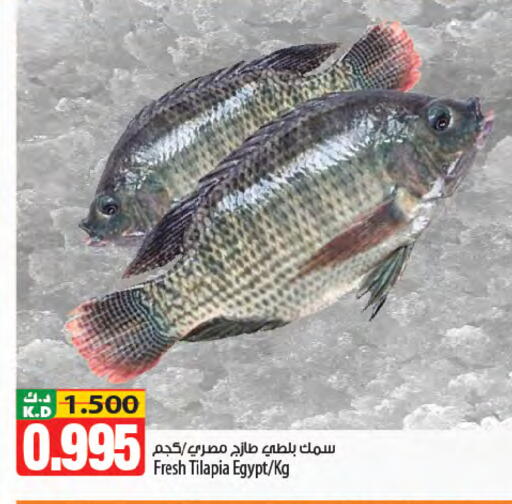 Mango available at مانجو هايبرماركت in الكويت - محافظة الجهراء