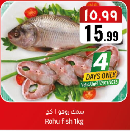 available at City Flower in KSA, Saudi Arabia, Saudi - Sakaka