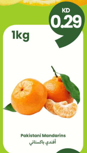 available at توصيل  in الكويت - محافظة الأحمدي