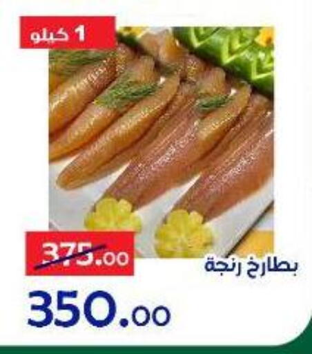 available at الدنيا بخير in Egypt - القاهرة