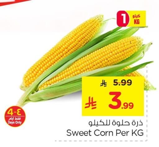 available at نستو in مملكة العربية السعودية, السعودية, سعودية - الخبر‎