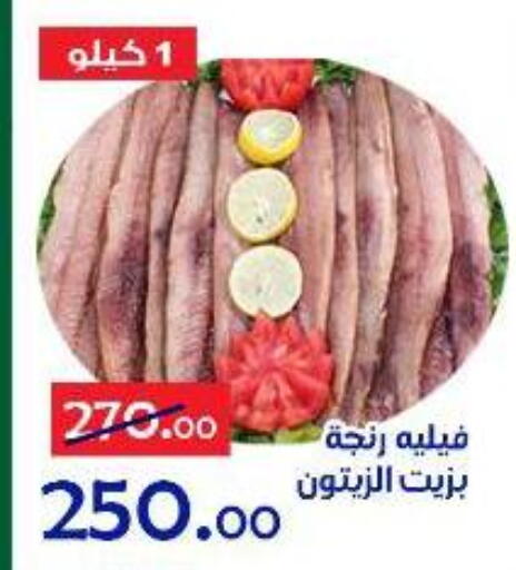 available at الدنيا بخير in Egypt - القاهرة