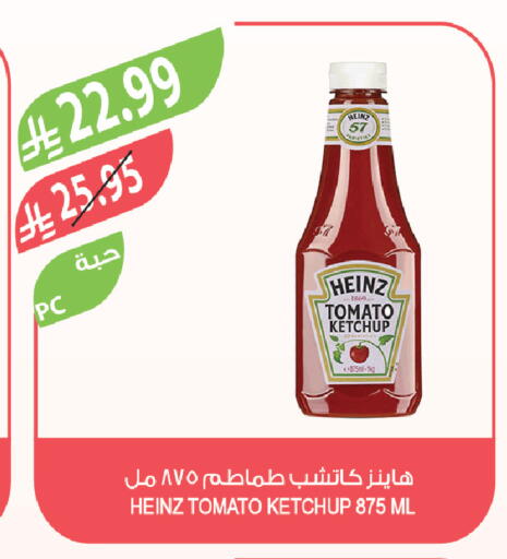 Tomato available at Farm  in KSA, Saudi Arabia, Saudi - Saihat