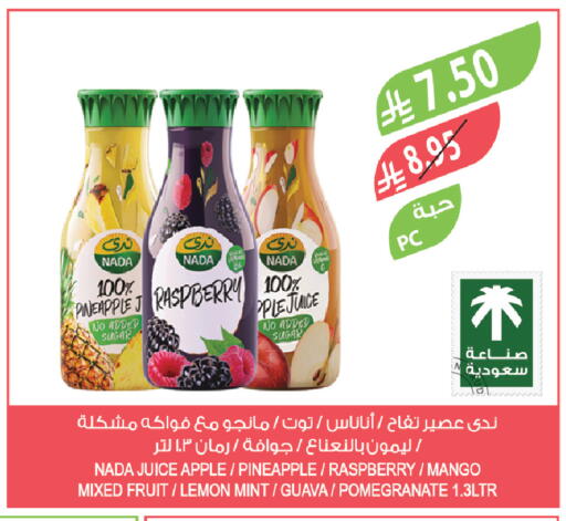 Raspberry Apple Pineapple Mango Lemon Guava Pomegranate Mint available at Farm  in KSA, Saudi Arabia, Saudi - Sakaka