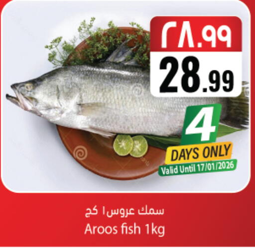 available at ستي فلاور in مملكة العربية السعودية, السعودية, سعودية - نجران