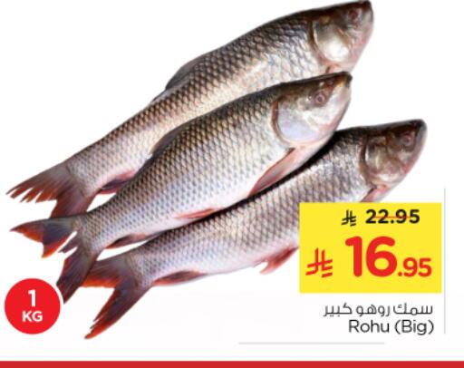 available at نستو in مملكة العربية السعودية, السعودية, سعودية - الرياض