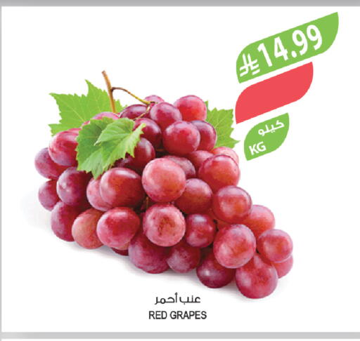 Grapes available at Farm  in KSA, Saudi Arabia, Saudi - Yanbu