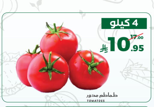 Tomato available at ميرا مارت مول in مملكة العربية السعودية, السعودية, سعودية - جدة