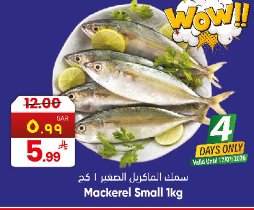 available at City Flower in KSA, Saudi Arabia, Saudi - Sakaka