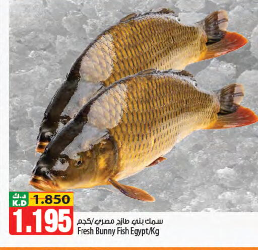 Mango available at مانجو هايبرماركت in الكويت - محافظة الجهراء